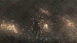 13.png